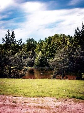 Forest on the River Bank.  Stock-Fotos