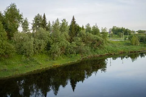 Forest on the river bank with reflection of trees in the water Stock Photos