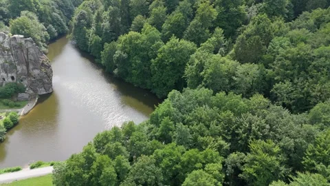 Forest River Bend Seen From The Air In Germany 스톡 동영상 339367618