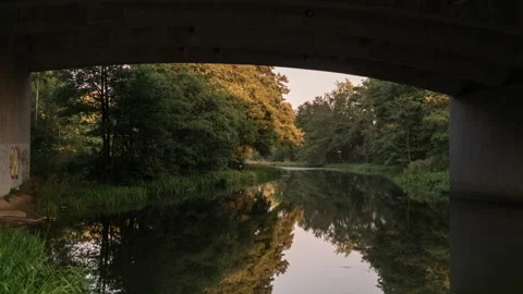 Forest River Beneath Concrete Bridge at Golden Hour Stock Footage 343976306