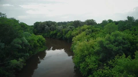 Forest, river between trees, beauty of nature, shooting on a copter Vidéo 180493398