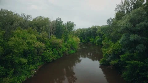 Forest, river between trees, beauty of nature, shooting on a copter Vidéo 201439559