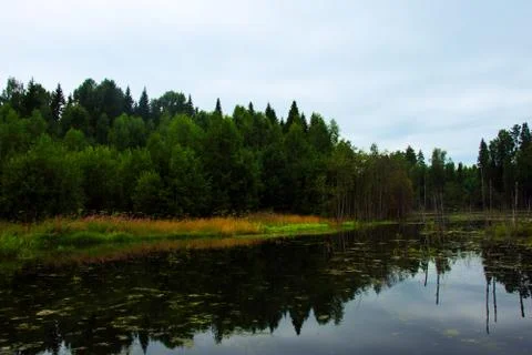 The forest river is blocked by an artificial dam. A small lake was formed fro Foto stock