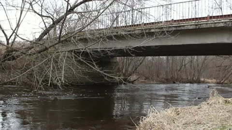 Forest river with bridge across Stock Footage 10860908