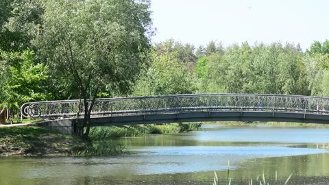 Forest river bridge landscape. River bridge in forest. Forrest river bridge view Stock Footage 131496990