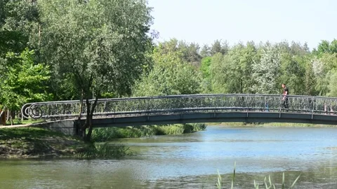 Forest river bridge landscape. River bridge in forest. Forrest river bridge view Stock Footage 131496998