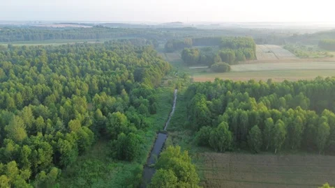 Forest river captured from above Stock Footage 292242470