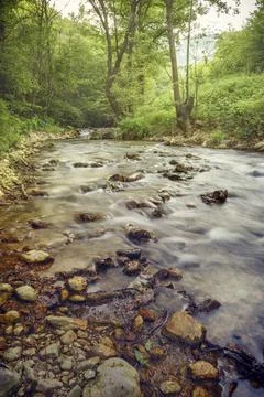 Forest river cascades Foto stock