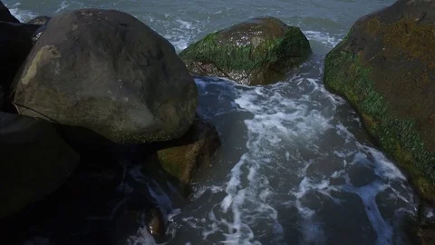 Forest river close up Stock Footage 116597743