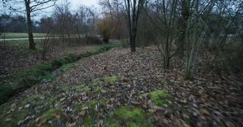 Forest river cloudy steadyshot Stock Footage 83577590