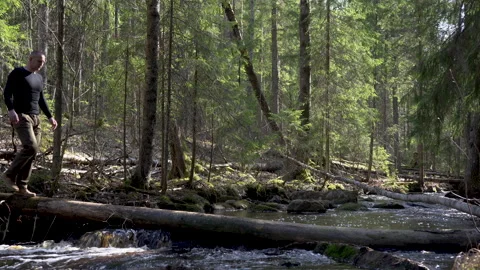 Forest river crossing Video stock 130872690