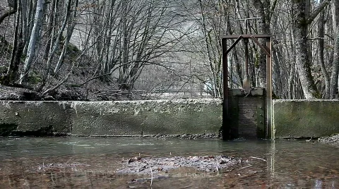 Forest River Dam Stock Footage 666449