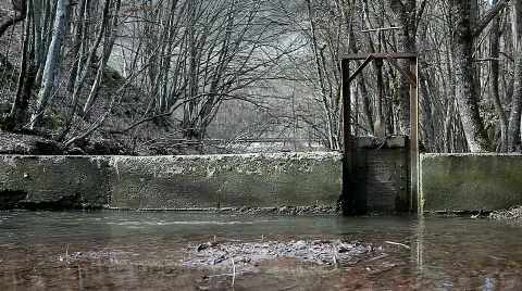 Forest River Dam Stock Footage 666450