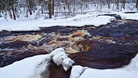 Forest river with dark waters running through a snowy forest Stock Footage 168407350