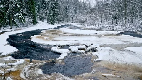 Forest river with dark waters running through a snowy forest Stock Footage 168407533