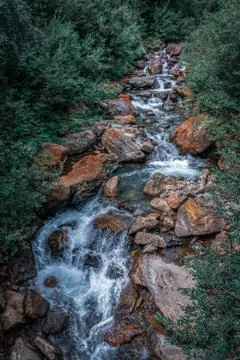 Forest river in the Dolomites Stock Photos