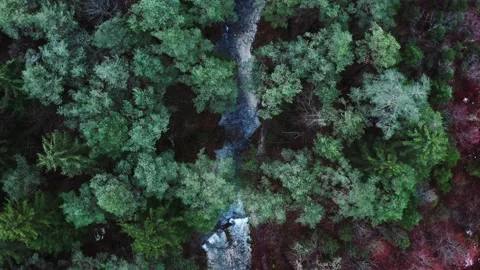 Forest River Drone Stock Footage 226766126