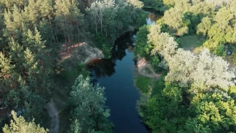 Forest river drone, lush green canopy, aerial river bend Stock Footage 311902586