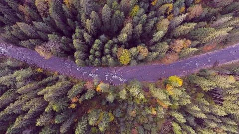 Forest river by drone Stock Photos