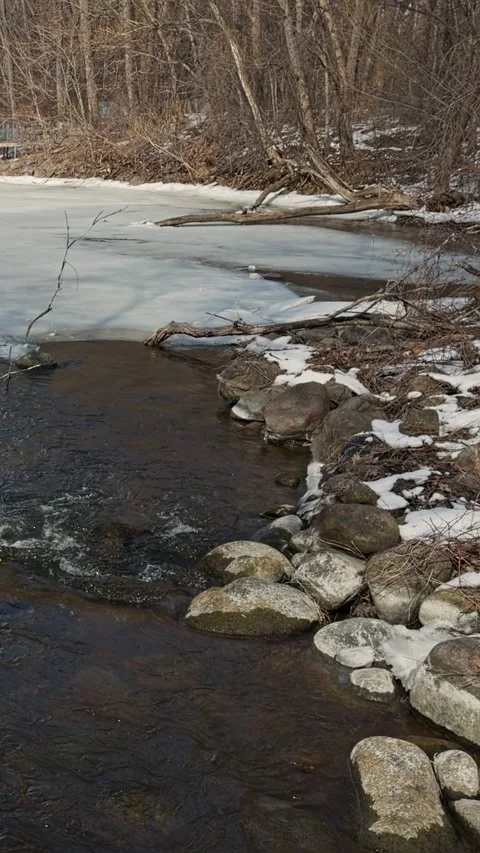 Forest River During Late Winter To Early Spring. 스톡 동영상 333686049
