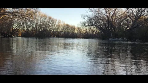 Forest River Dusk Alternative Angle B-Roll Vidéo 344989775