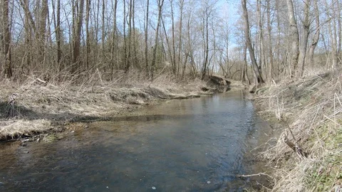 Forest river in early spring 動画素材 129093971