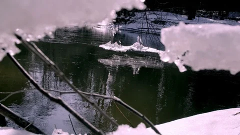 Forest river in early spring, nature wakes up Video stock 87889633