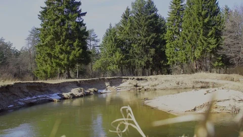 Forest river in early spring, nature wakes up Stock Footage 87891381