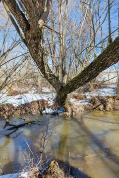 Forest river at early spring Stock Photos