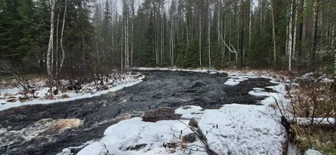 Forest river in early winter Stock Footage 324874261