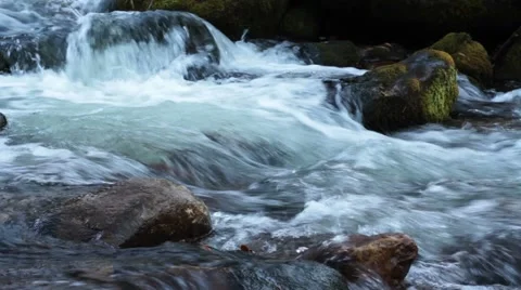 Forest river in the fall Video stock 44723705