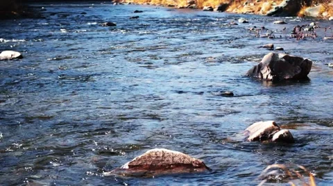 Forest river in the fall Stock Footage 44723950