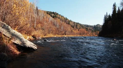 Forest river in the fall Stock Footage 44723996