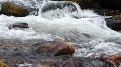 Forest river in the fall Video stock 44724018