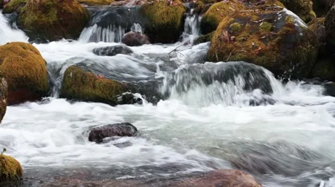 Forest river in the fall Stock Footage 44724057