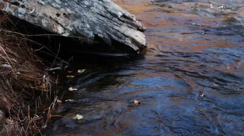 Forest river in the fall Stock Footage 44724193