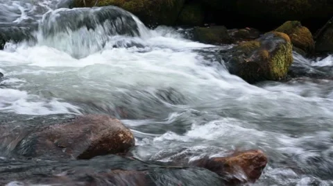 Forest river in the fall Stock Footage 44724261