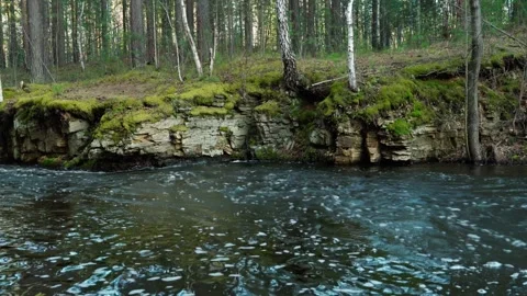 A forest river with a fast current and a stone bank overgrown with moss. Stock Footage 308852954