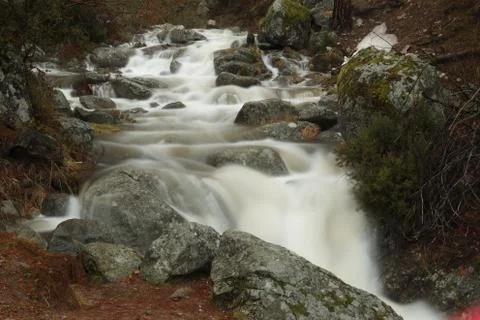 Forest river flowing gently over moss covered rocks Foto stock