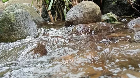 Forest River Flowing Over Rocks Natural Scene Stock Footage 329897899