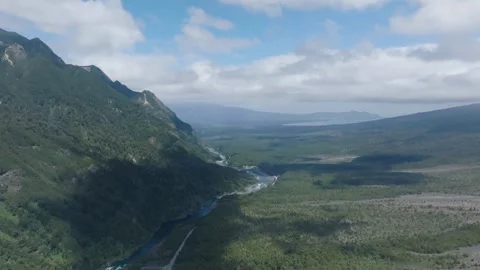 Forest river flowing through green valley Stock Footage 312842253