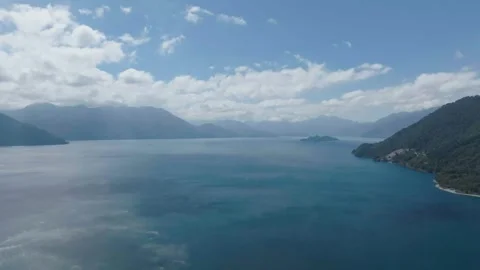 Forest river flowing through green valley Stock Footage 312842260