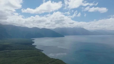 Forest river flowing through green valley Stock Footage 312842302