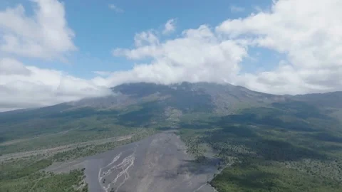 Forest river flowing through green valley Stock Footage 312845915