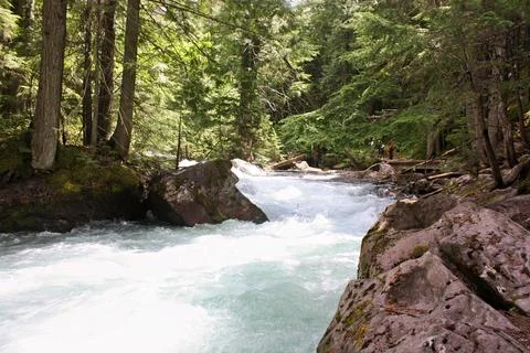 Forest River Flowing Through Wilderness Stock Photos