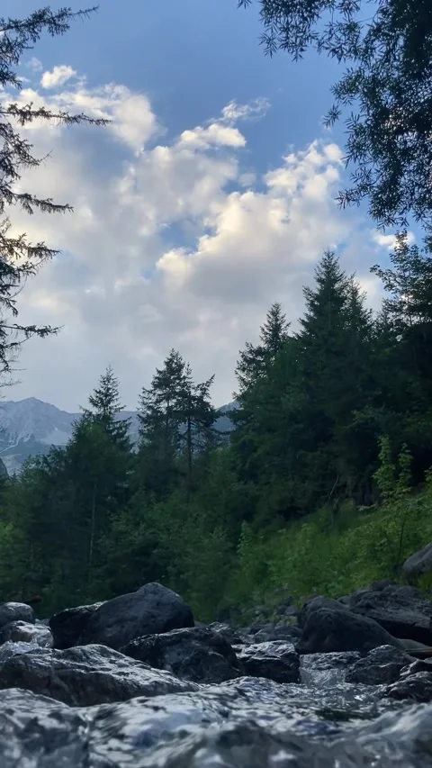 Forest River Flowing with Trees and Natural Water Sound in Autumn Stock Footage 306177689