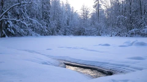 Forest river flowing under ice in winter time 스톡 동영상 59691022