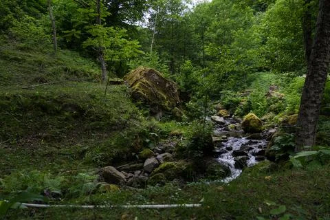 A forest river flows between rocks in Georgia Stock Photos