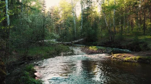 A forest river that flows through a mountainous area. The flow of river water. Video stock 306357185