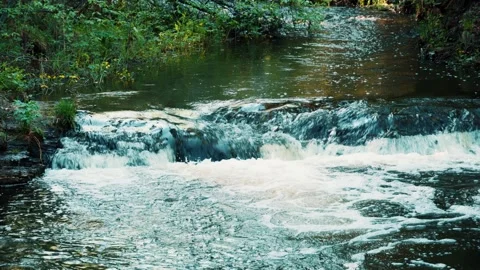 A forest river that flows through a mountainous area. A small waterfall. Stock Footage 306357188